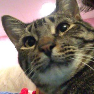 Meet your Posher, Jonah